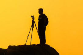 Fria och licensierade bilder